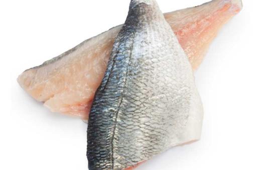 Fillet of sea bream