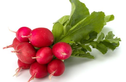 Red Radish